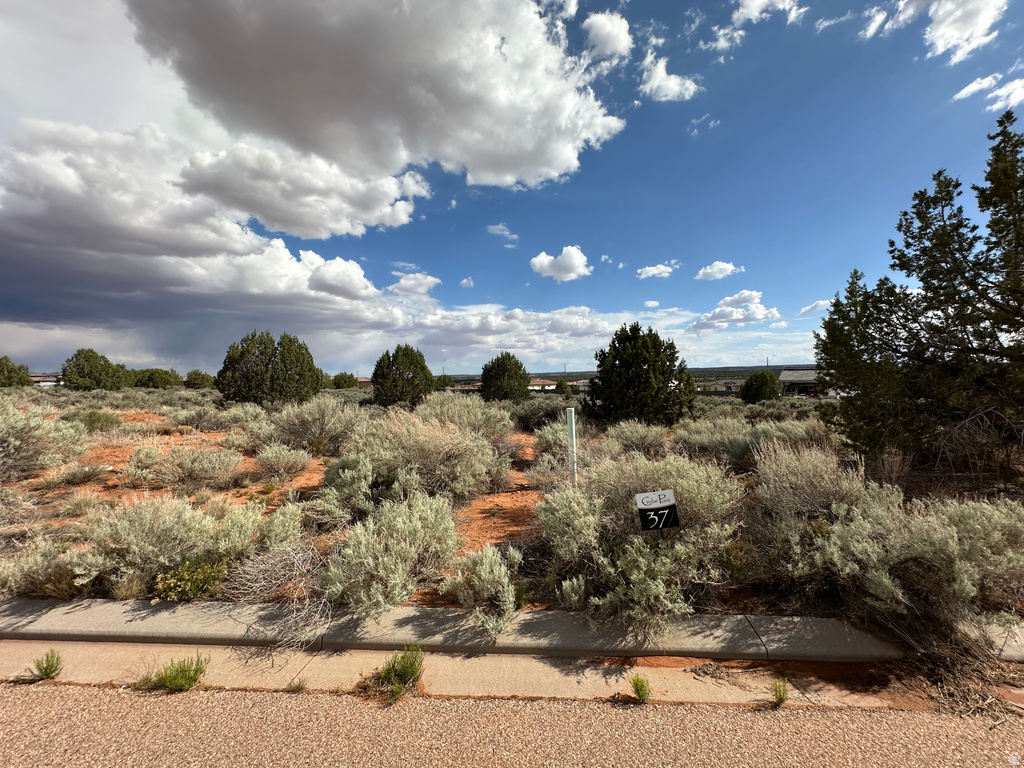 1186 E CACTUS DR Apple Valley, UT 84737