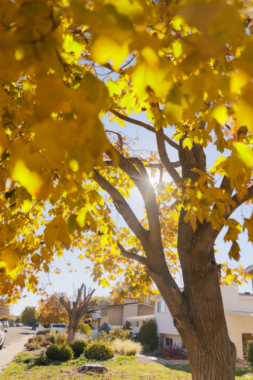 184 WOODLAND DR Orem, UT 84097