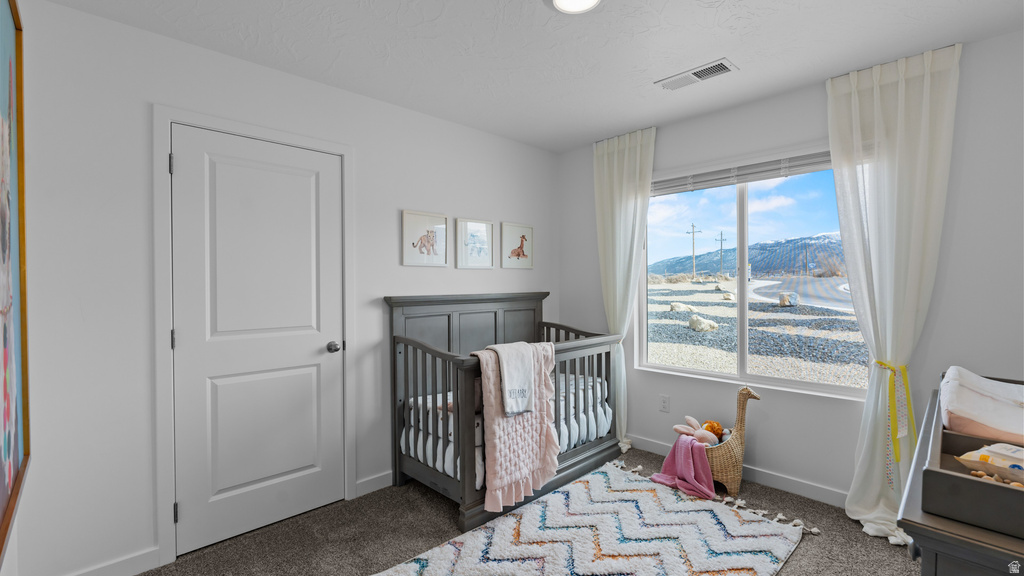 1130 N INDIGO ST #1093 Cedar City, UT 84721