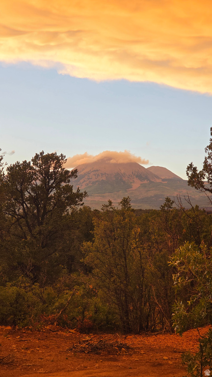 95 S WRAY MESA RD La Sal, UT 84530