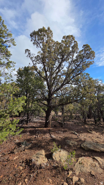 95 S WRAY MESA RD La Sal, UT 84530