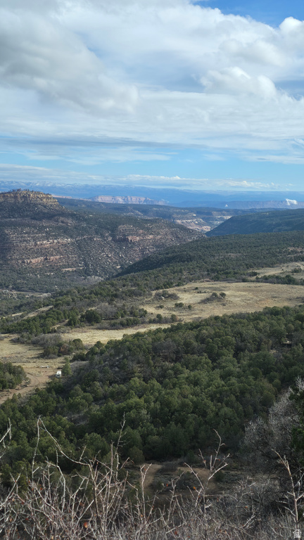 95 S WRAY MESA RD La Sal, UT 84530