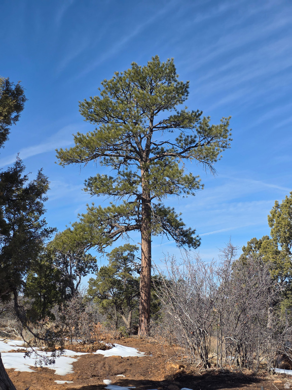 95 S WRAY MESA RD La Sal, UT 84530