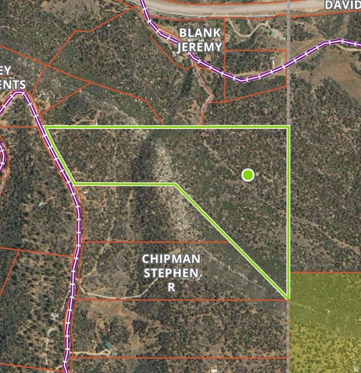 95 S WRAY MESA RD La Sal, UT 84530