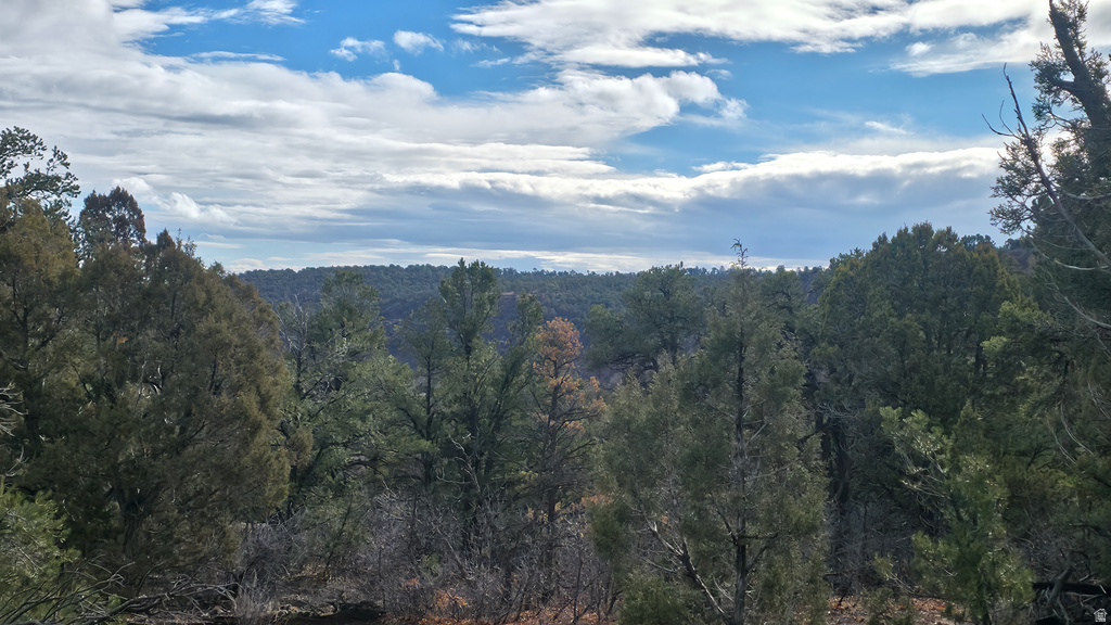 95 S WRAY MESA RD La Sal, UT 84530