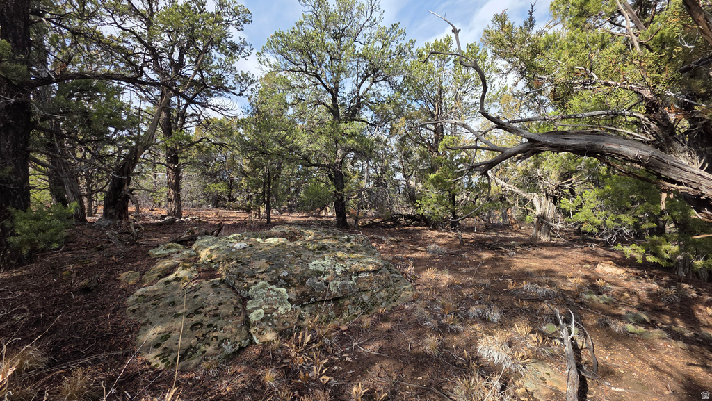 95 S WRAY MESA RD La Sal, UT 84530