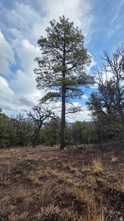 95 S WRAY MESA RD La Sal, UT 84530