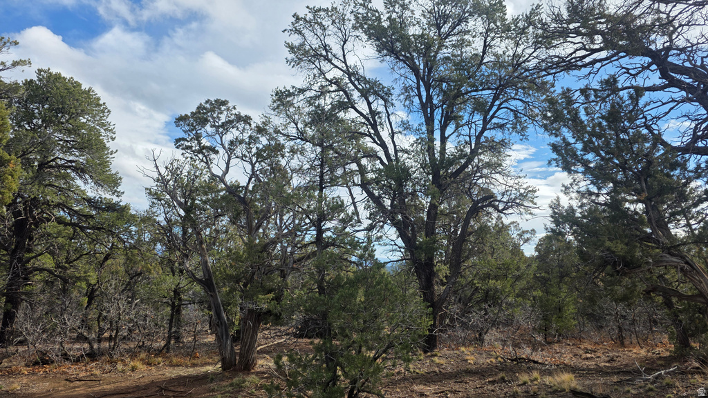 95 S WRAY MESA RD La Sal, UT 84530