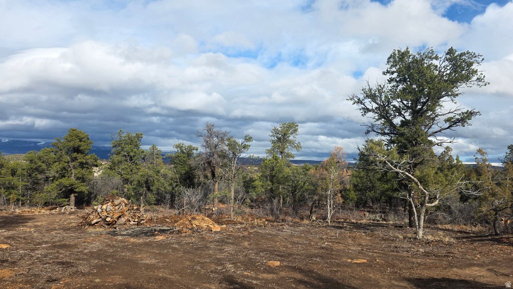 95 S WRAY MESA RD La Sal, UT 84530