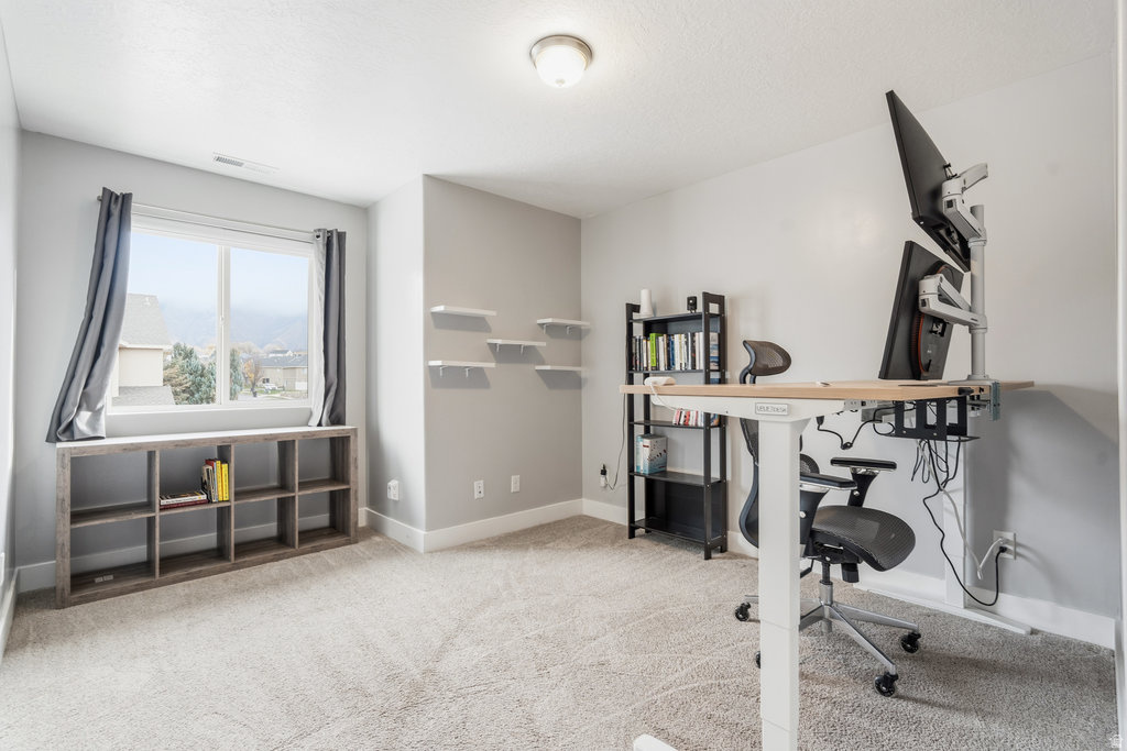 809 N 1120 E Spanish Fork, UT 84660