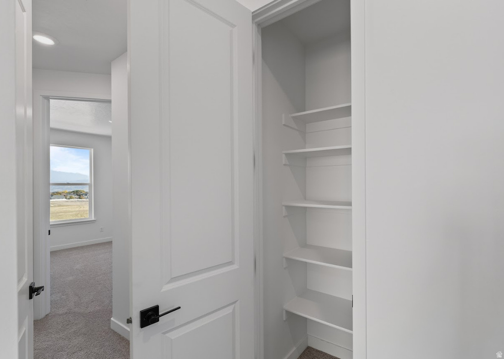 12674 S LINCOLN PEAK LN #111 Riverton, UT 84096