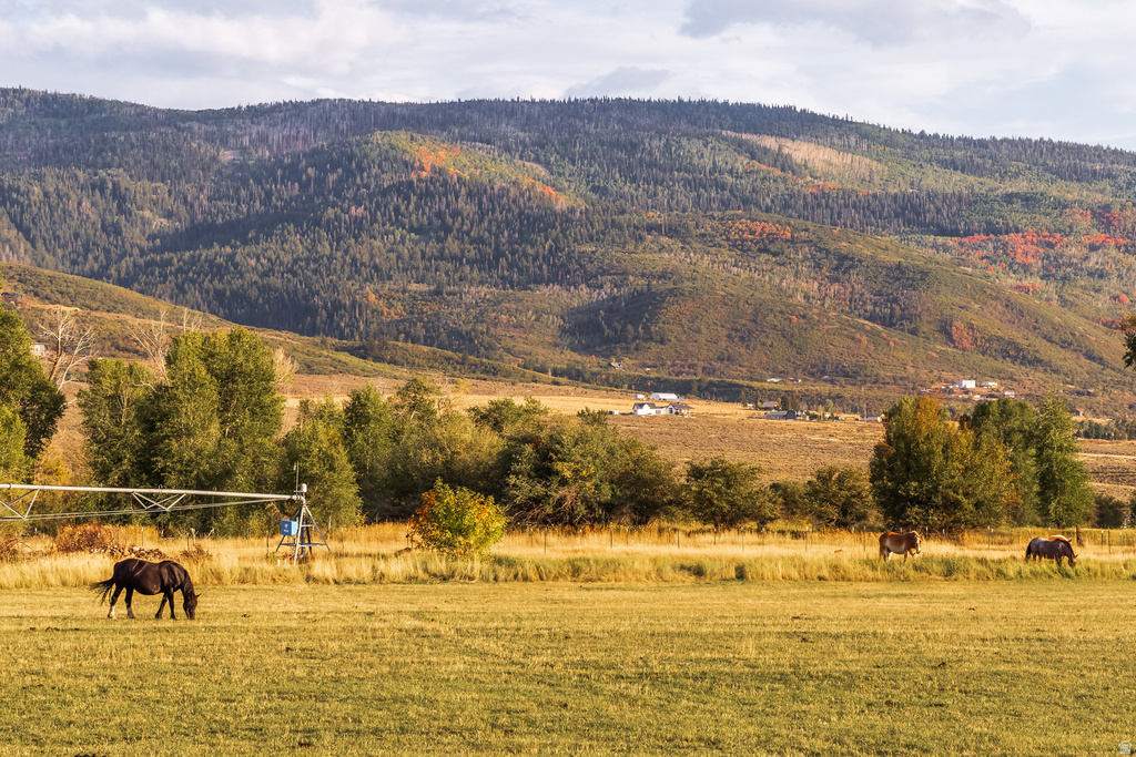 389 E BOULDERVILLE RD Oakley, UT 84055