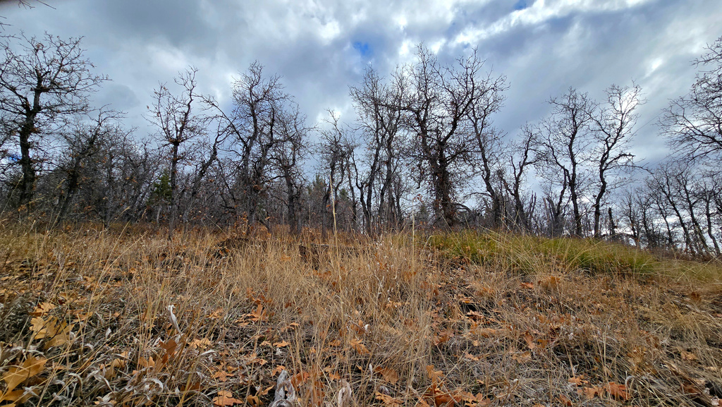 138  PHASE 3 SECTION A Mt Pleasant, UT 84647