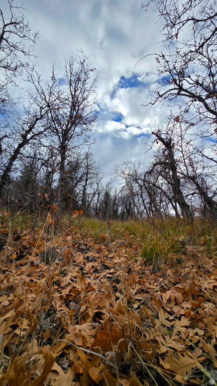 138  PHASE 3 SECTION A Mt Pleasant, UT 84647