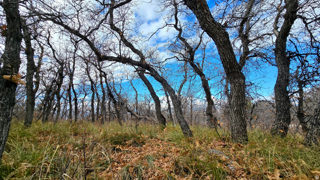 138  PHASE 3 SECTION A Mt Pleasant, UT 84647