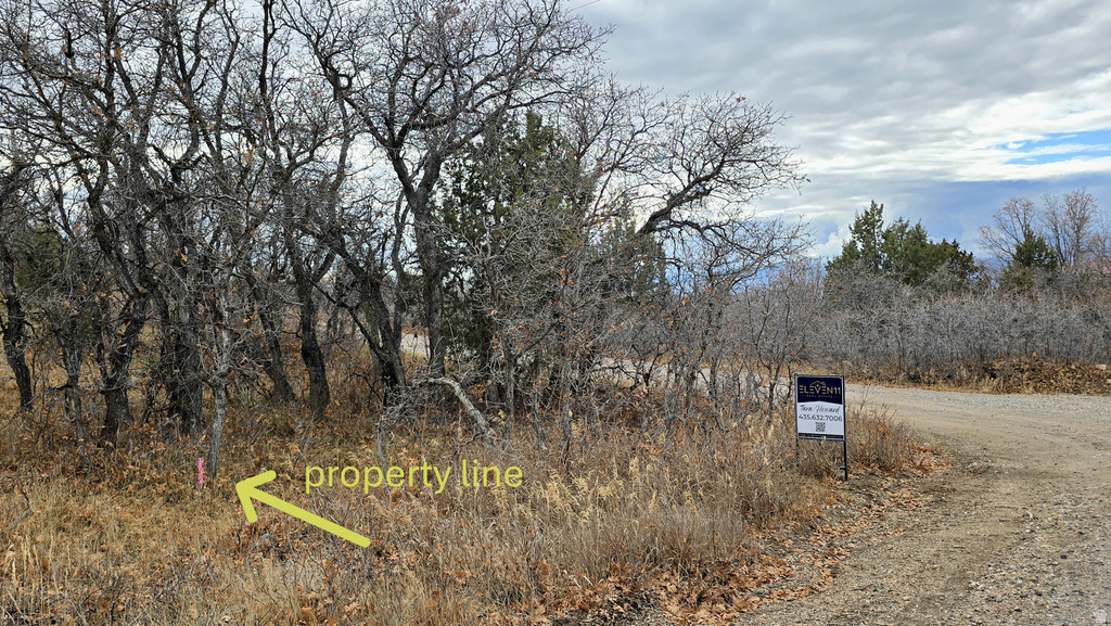 138  PHASE 3 SECTION A Mt Pleasant, UT 84647