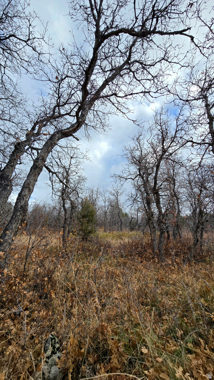 138  PHASE 3 SECTION A Mt Pleasant, UT 84647