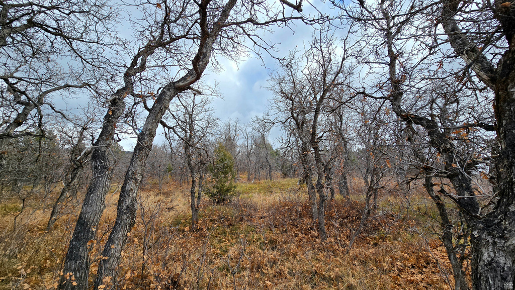 138  PHASE 3 SECTION A Mt Pleasant, UT 84647