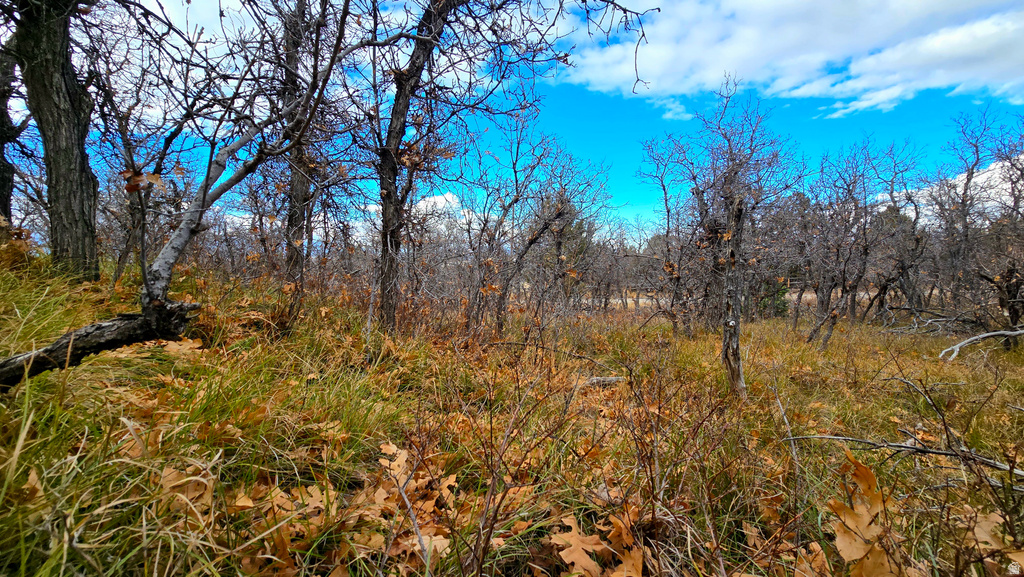 138  PHASE 3 SECTION A Mt Pleasant, UT 84647