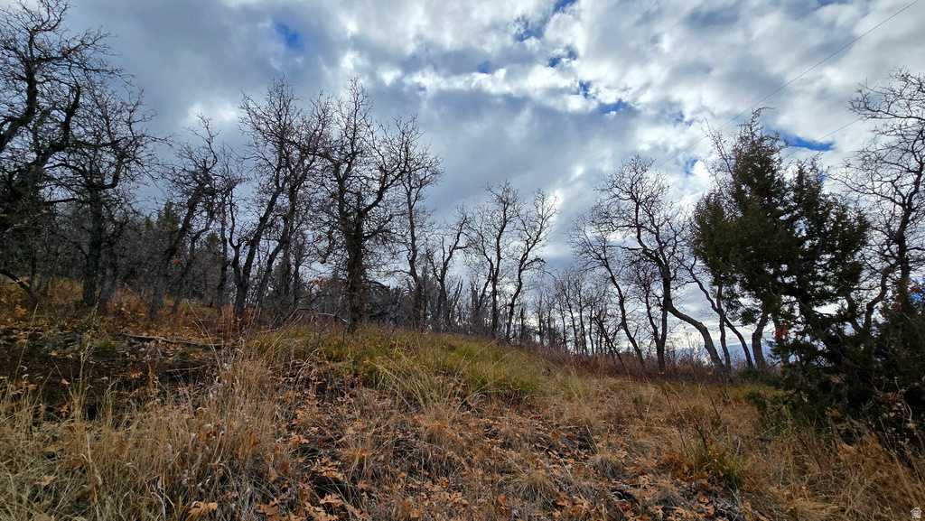 138  PHASE 3 SECTION A Mt Pleasant, UT 84647