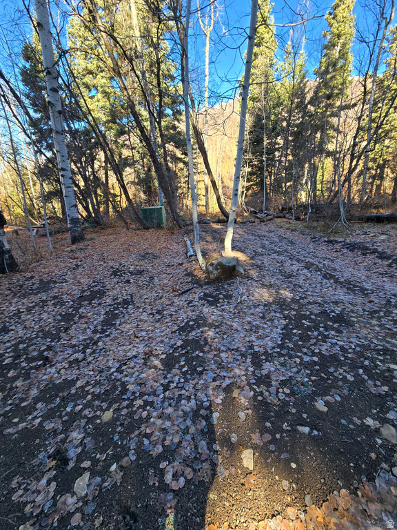 827 E NORTH FORK RD Fairview, UT 84629