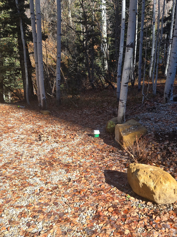 827 E NORTH FORK RD Fairview, UT 84629