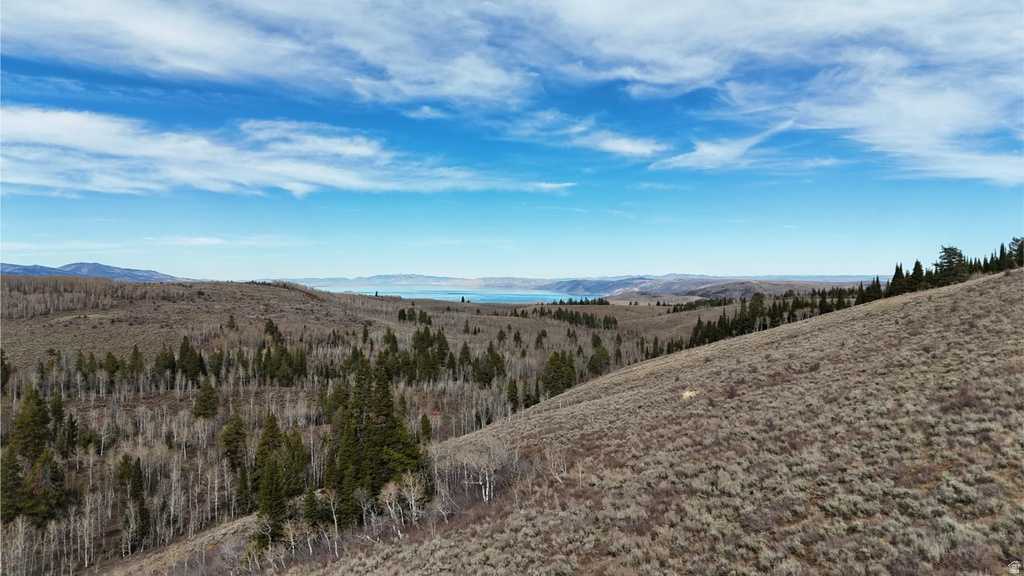 1000 N LAKETOWN CANYON RD Laketown, UT 84038