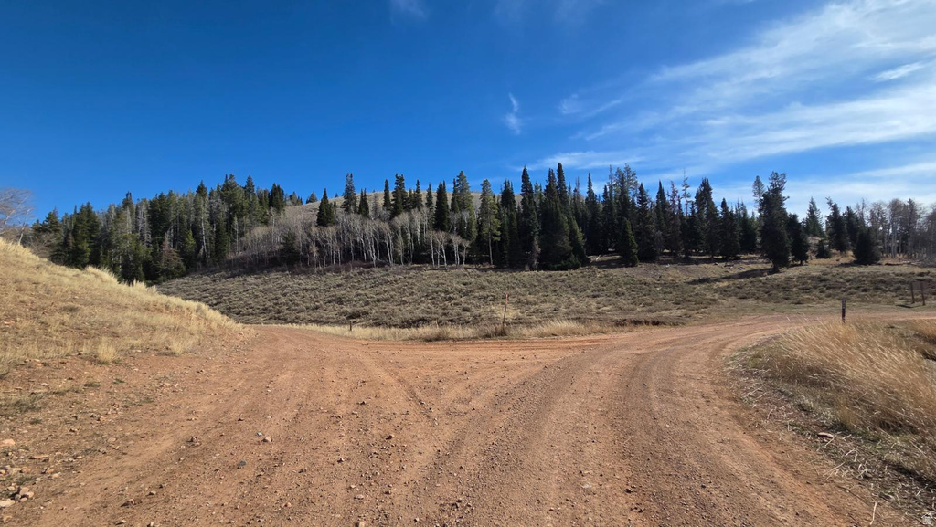 1000 N LAKETOWN CANYON RD Laketown, UT 84038