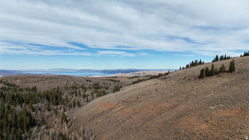 1000 N LAKETOWN CANYON RD Laketown, UT 84038