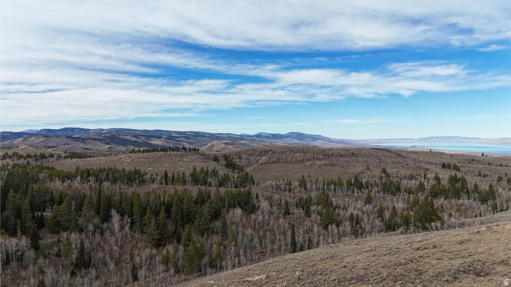 1000 N LAKETOWN CANYON RD Laketown, UT 84038