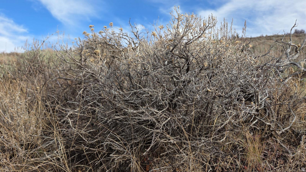 1000 N LAKETOWN CANYON RD Laketown, UT 84038