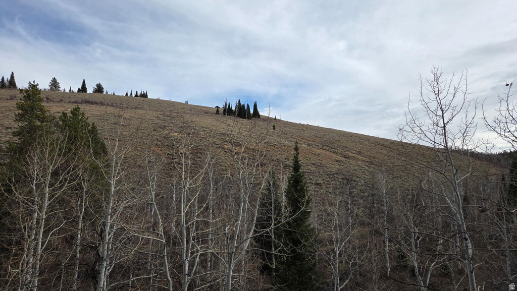 1000 N LAKETOWN CANYON RD Laketown, UT 84038