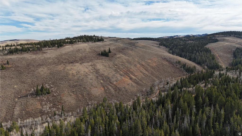 1000 N LAKETOWN CANYON RD Laketown, UT 84038