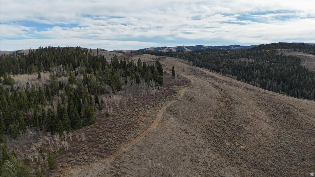 1000 N LAKETOWN CANYON RD Laketown, UT 84038