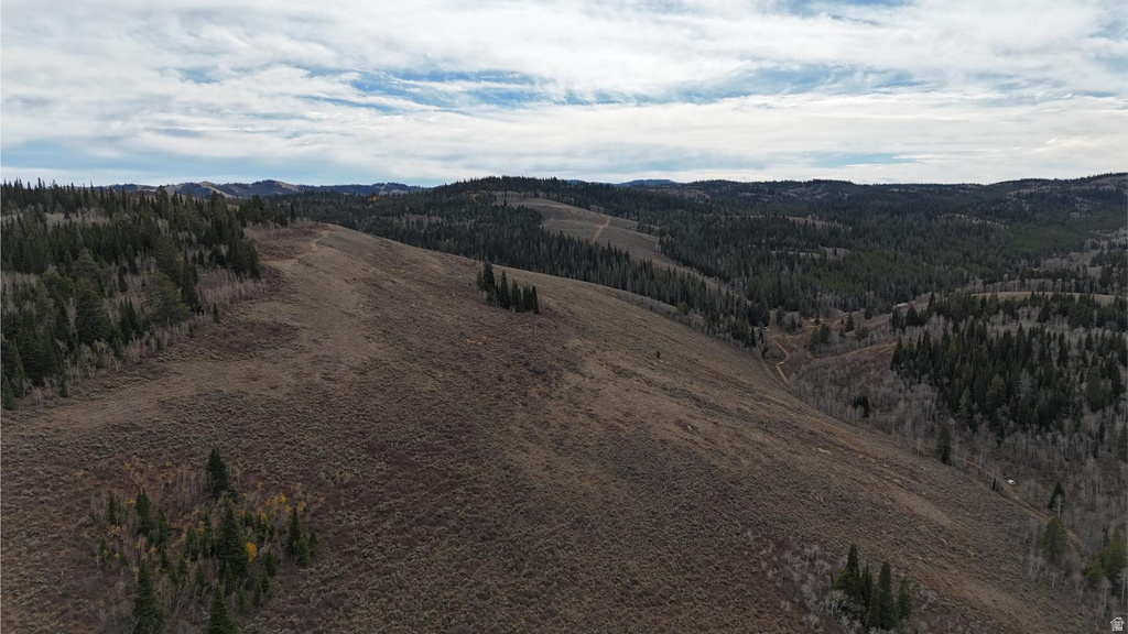 1000 N LAKETOWN CANYON RD Laketown, UT 84038