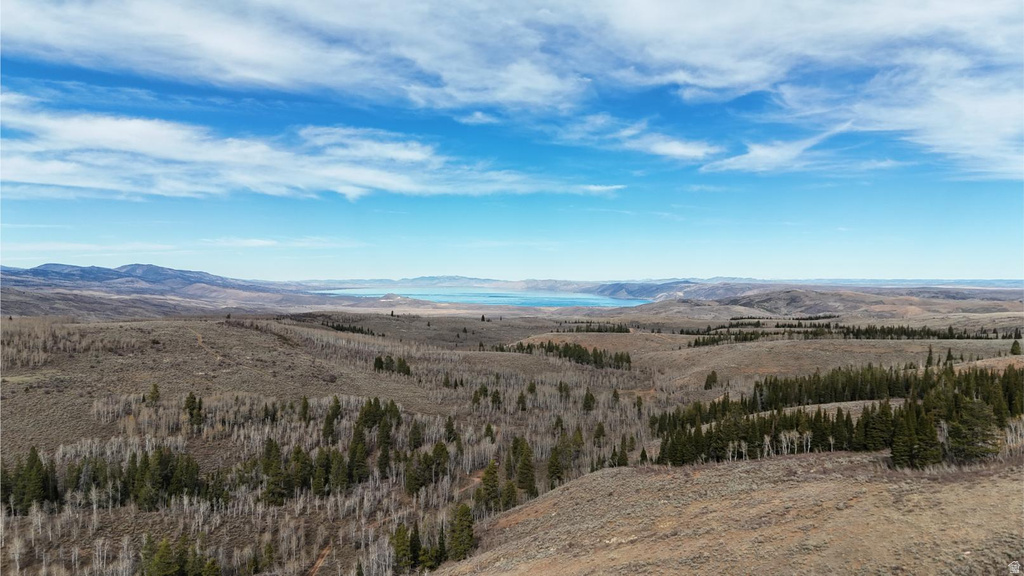 1000 N LAKETOWN CANYON RD Laketown, UT 84038