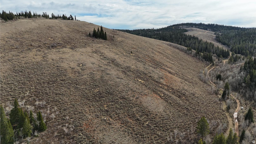 1000 N LAKETOWN CANYON RD Laketown, UT 84038