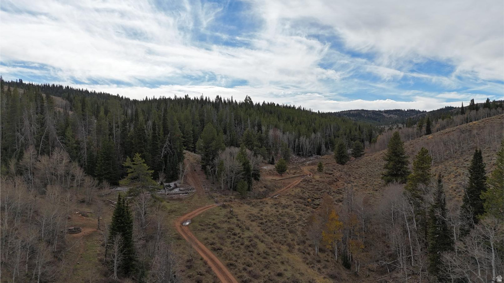 1000 N LAKETOWN CANYON RD Laketown, UT 84038