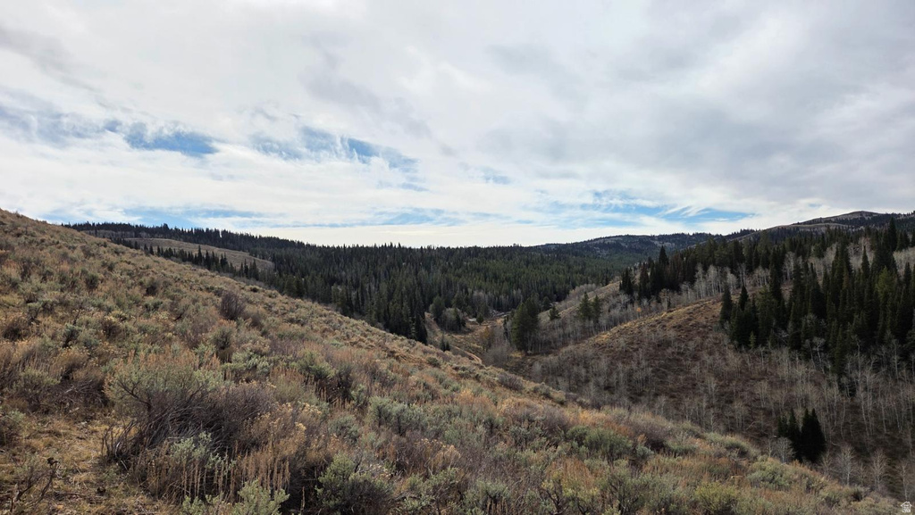 1000 N LAKETOWN CANYON RD Laketown, UT 84038