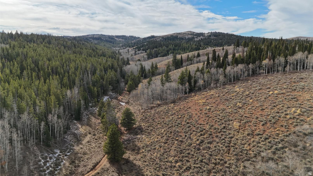 1000 N LAKETOWN CANYON RD Laketown, UT 84038