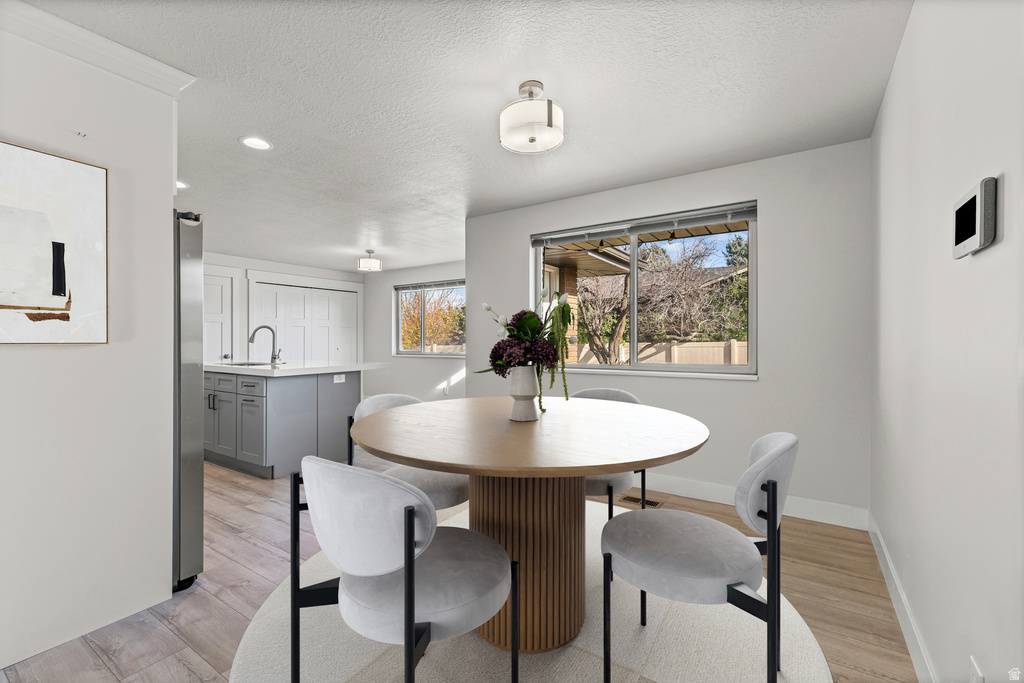 4369 S EL CAMINO ST Taylorsville, UT 84129