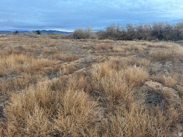 282 E 2000 S Vernal, UT 84078