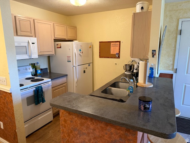 98 W 1230 N #225 Provo, UT 84604