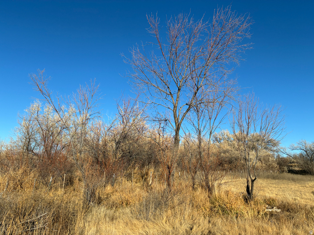 1627 S 3050 W Lapoint, UT 84039