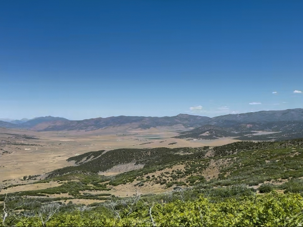 29010 N 8000 E Fairview, UT 84629