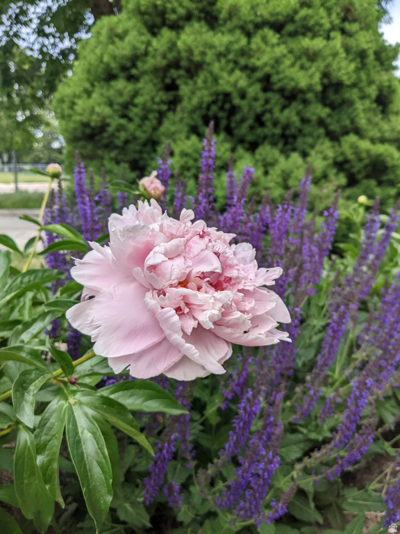 880 E 350 N Layton, UT 84041