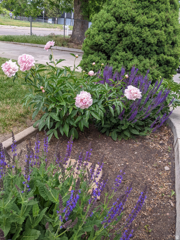 880 E 350 N Layton, UT 84041