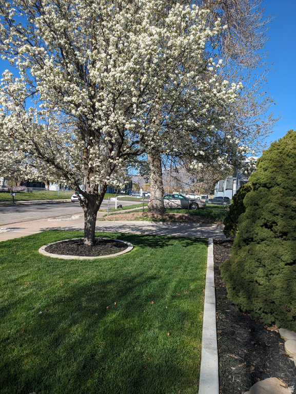 880 E 350 N Layton, UT 84041