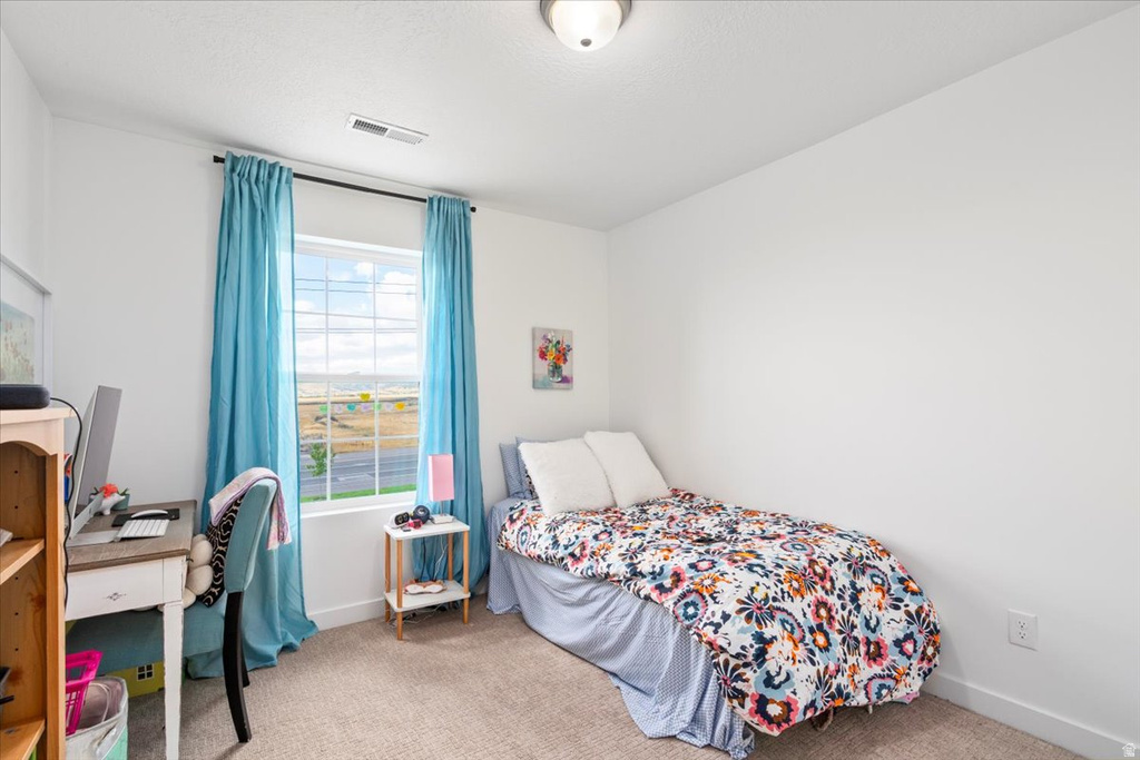 11774 S RINI RD South Jordan, UT 84009