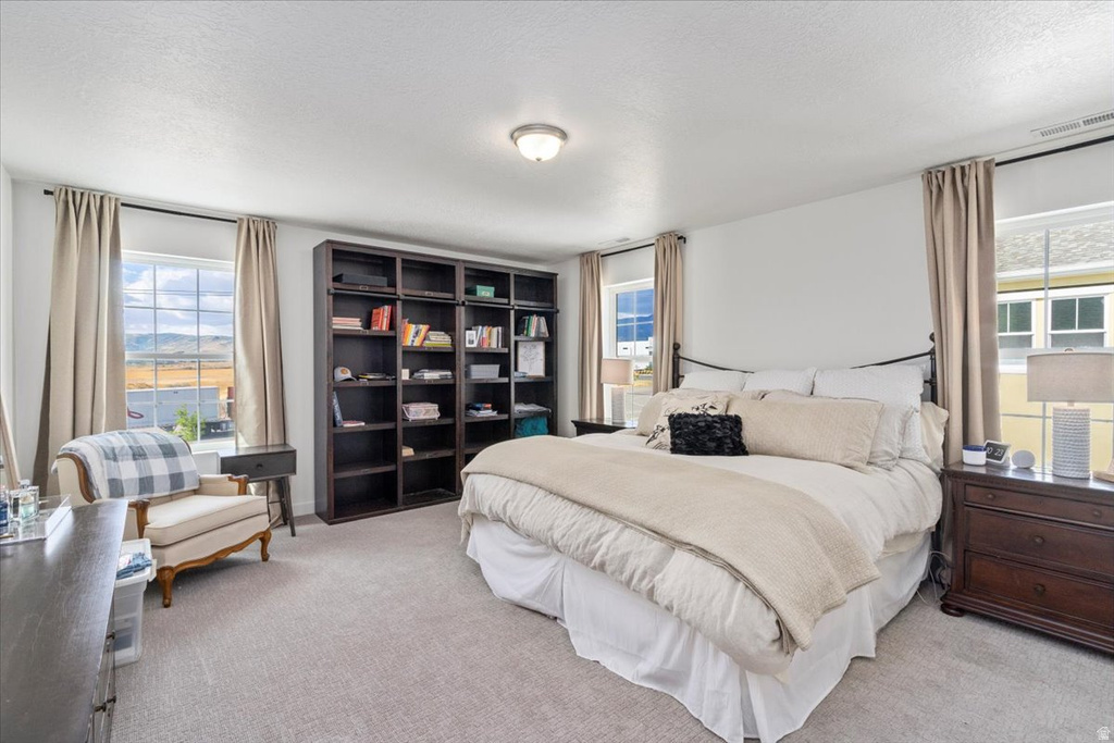 11774 S RINI RD South Jordan, UT 84009